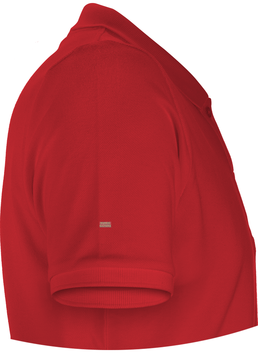 Polo Healer of Steel